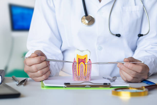 Best Broken or Cracked Tooth Emergency Dentist in Lake San Marcos, CA